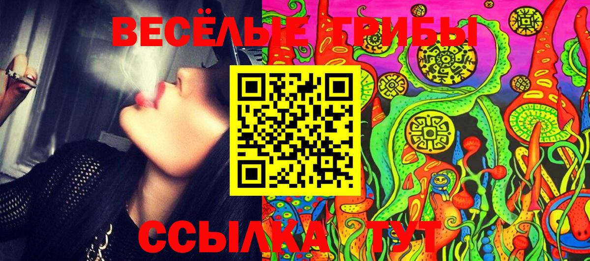 Галлюциногенные грибы MAGIC MUSHROOMS Вышний Волочёк