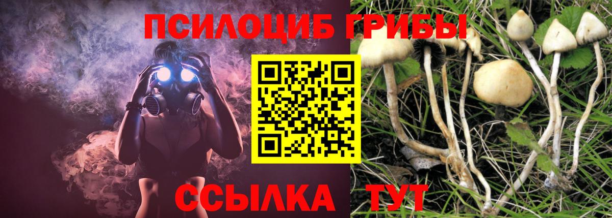 Вышний Волочёк  купить  цена  Вход с VPN  Псилоцибиновые грибы Magic Shrooms  Псилоцибиновые грибы прущие грибы 